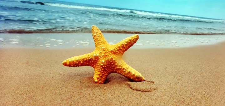 loveholidays Gutschein